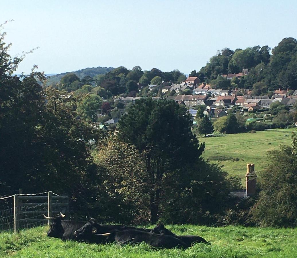 In The Centre Of Shaftesbury 아파트 외부 사진